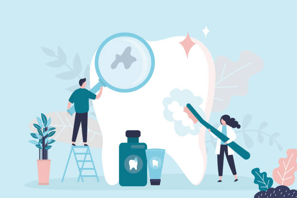  Bradford, RI Holistic Dental Services Pros